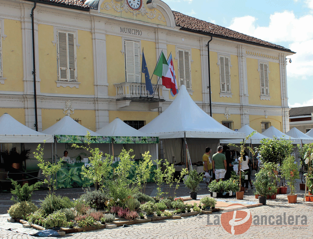 Festeggiamenti patronali a Pancalieri, sabato e domenica Viverbe