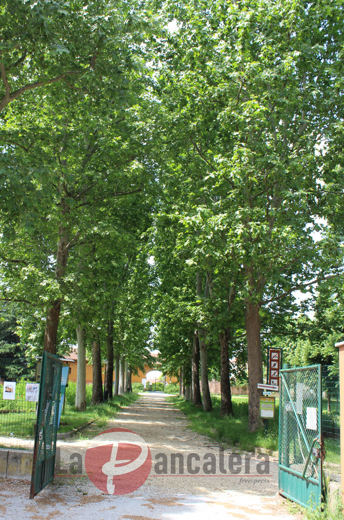 Arriva la “Biblioteca sotto l’albero” nel parco di Cascina Vigna