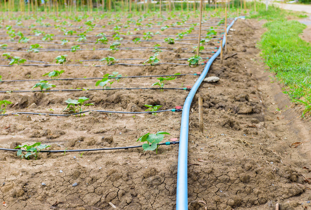 Giornata Mondiale dell’Acqua. Confagricoltura: manutenzione del reticolo irriguo