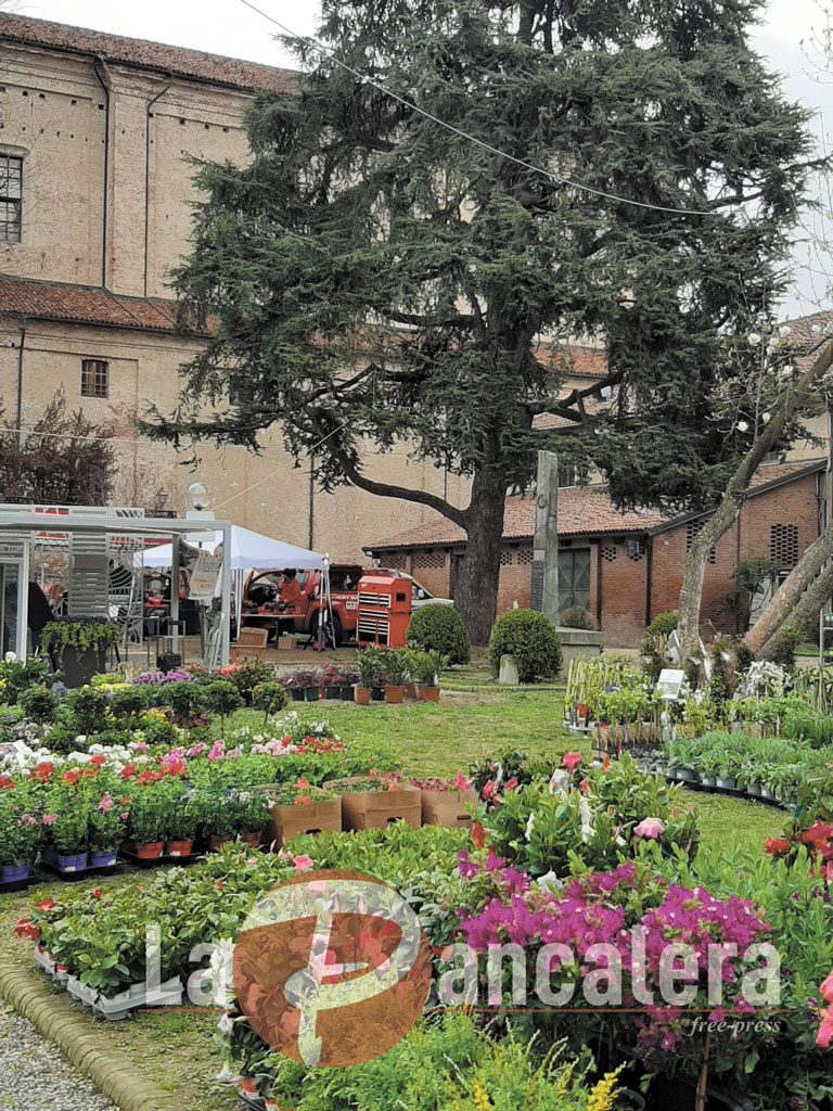 Ortoflora & Natura anche quest’anno sarà in centro a Carmagnola