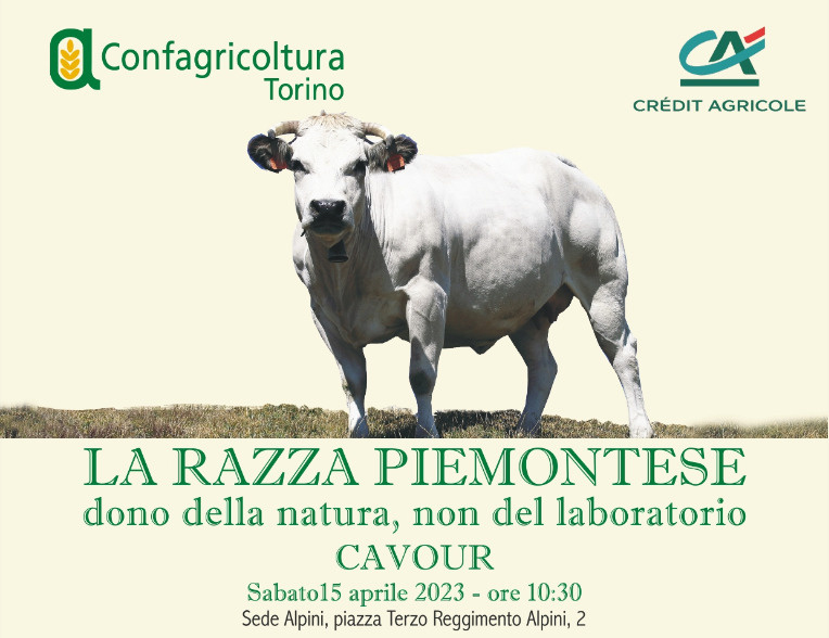 Cavour. Convegno sulla carne piemontese con Confagricoltura