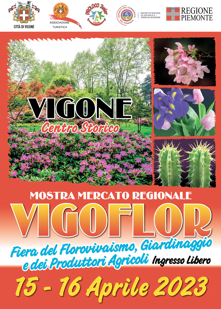 Vigoflor è anche Vigoart: gli eventi di sabato 15 e domenica 16 aprile a Vigone