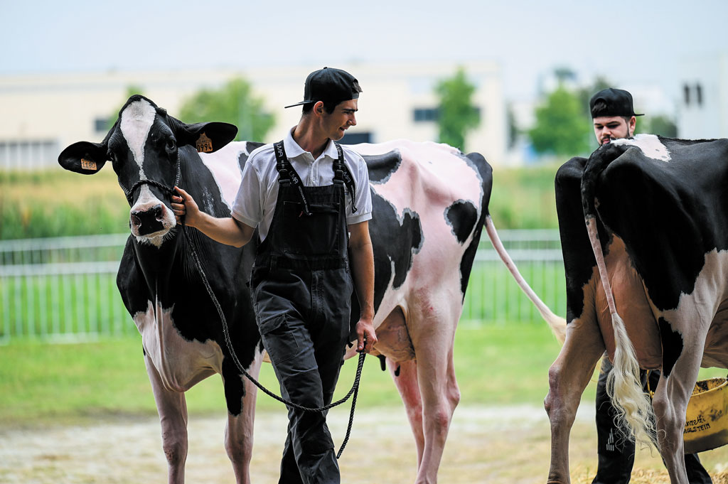 Mostra-della-Meccanica-Agricola-Saluzzo-la-pancalera