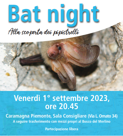 Alla scoperta dei pipistrelli a Caramagna con la Bat night