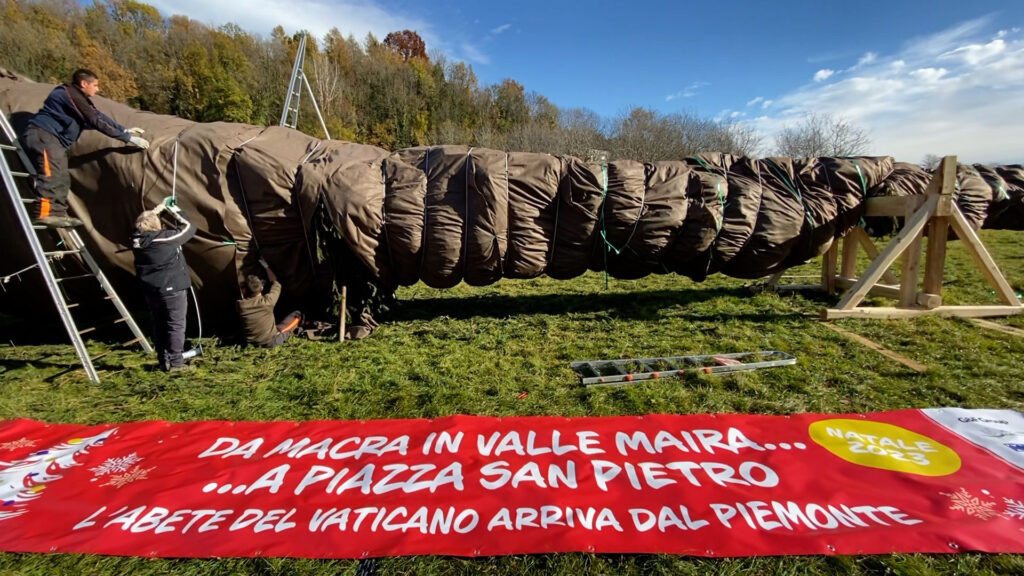 Partito da Macra, nel Cuneese, l’albero di Natale per il Papa