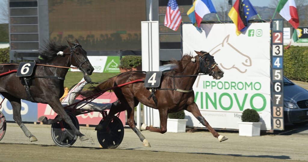 Sabato il Gran Premio ANACT all’Ippodromo