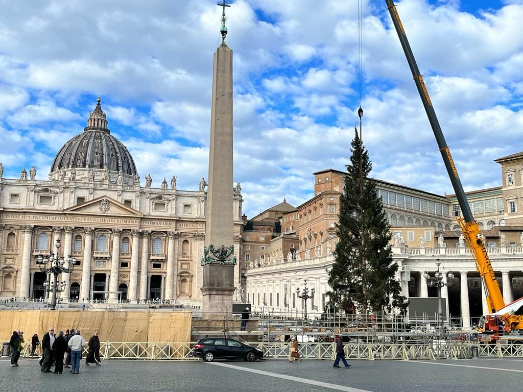 L’abete di Macra è arrivato dal Papa a Roma