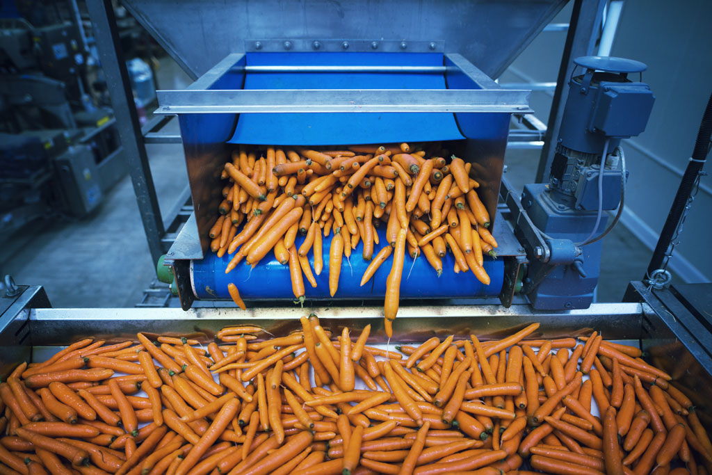 Aperto bando per trasformazione e commercializzazione di prodotti agricoli