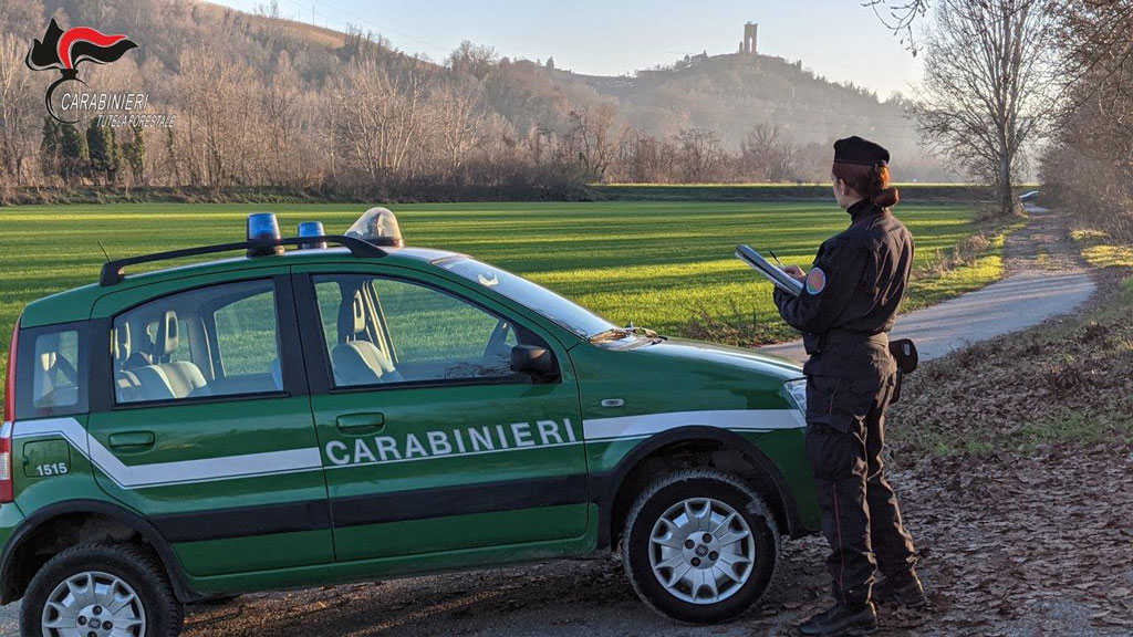 Carabinieri Forestali Cuneo, le attività svolte nel 2023