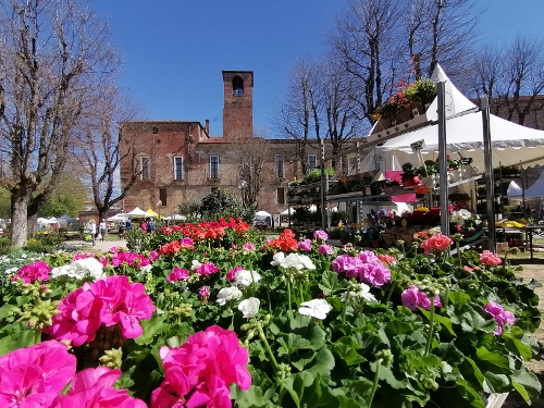 Ortoflora & Natura, a Carmagnola mostra-mercato e degustazioni di ravanin e porro