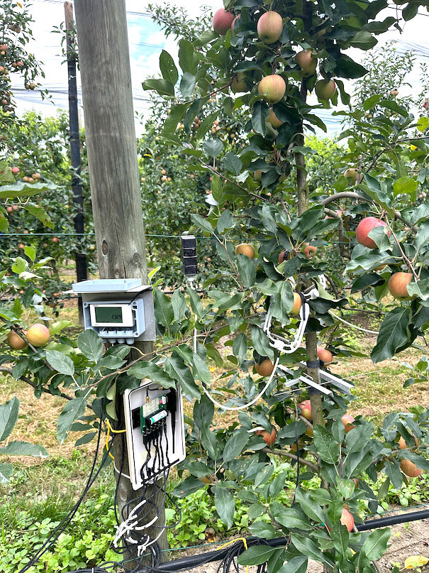 Comune di Saluzzo e Politecnico insieme per studi scientifici innovativi in agricoltura