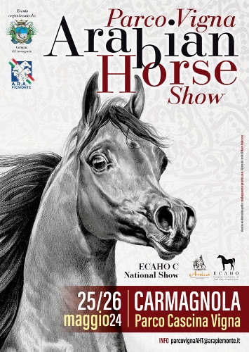 Arabians Horse Show al Parco Cascina Vigna di Carmagnola