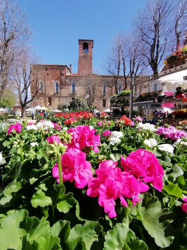 Ortoflora & Natura in centro città, una scelta vincente per Carmagnola