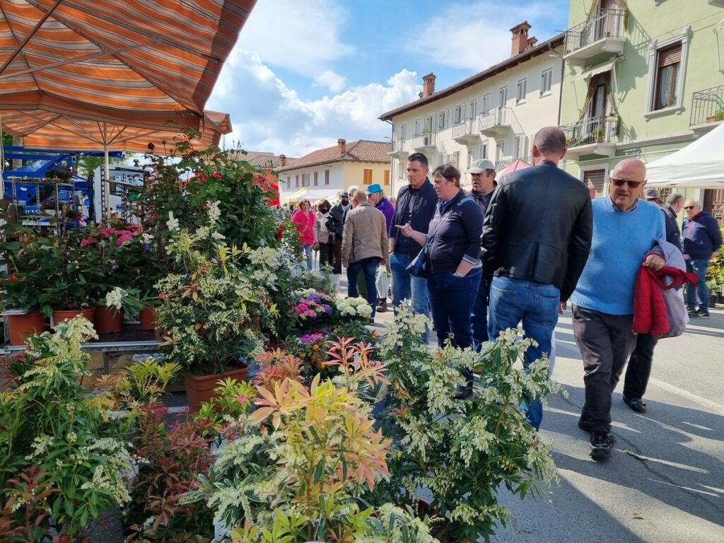 Il week-end di Vigoflor sta per iniziare