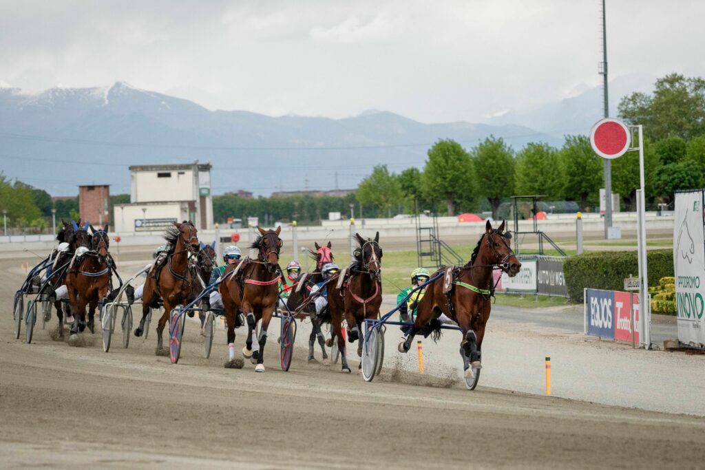 Dall’8 giugno le corse in notturna all’Ippodromo