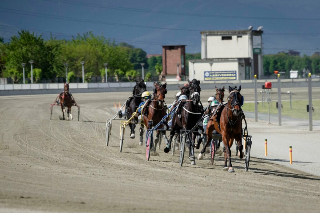 Maggio di Moda e Panda all’Ippodromo di Vivovo