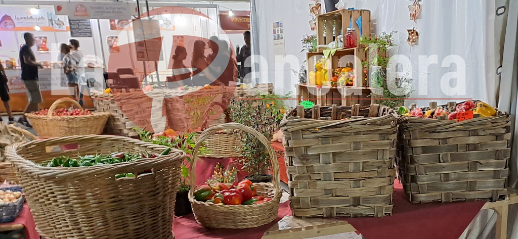 Fiera del Peperone, al via i preparativi con SGP Grandi Eventi