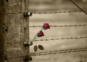 giorno della memoria