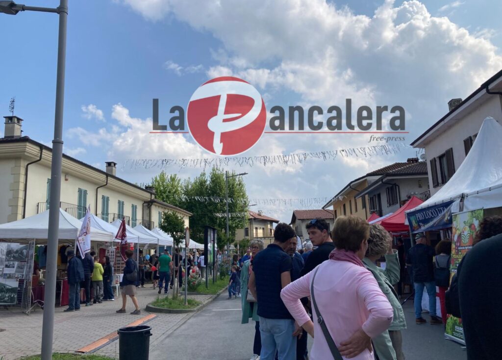 Latte e formaggio 2025