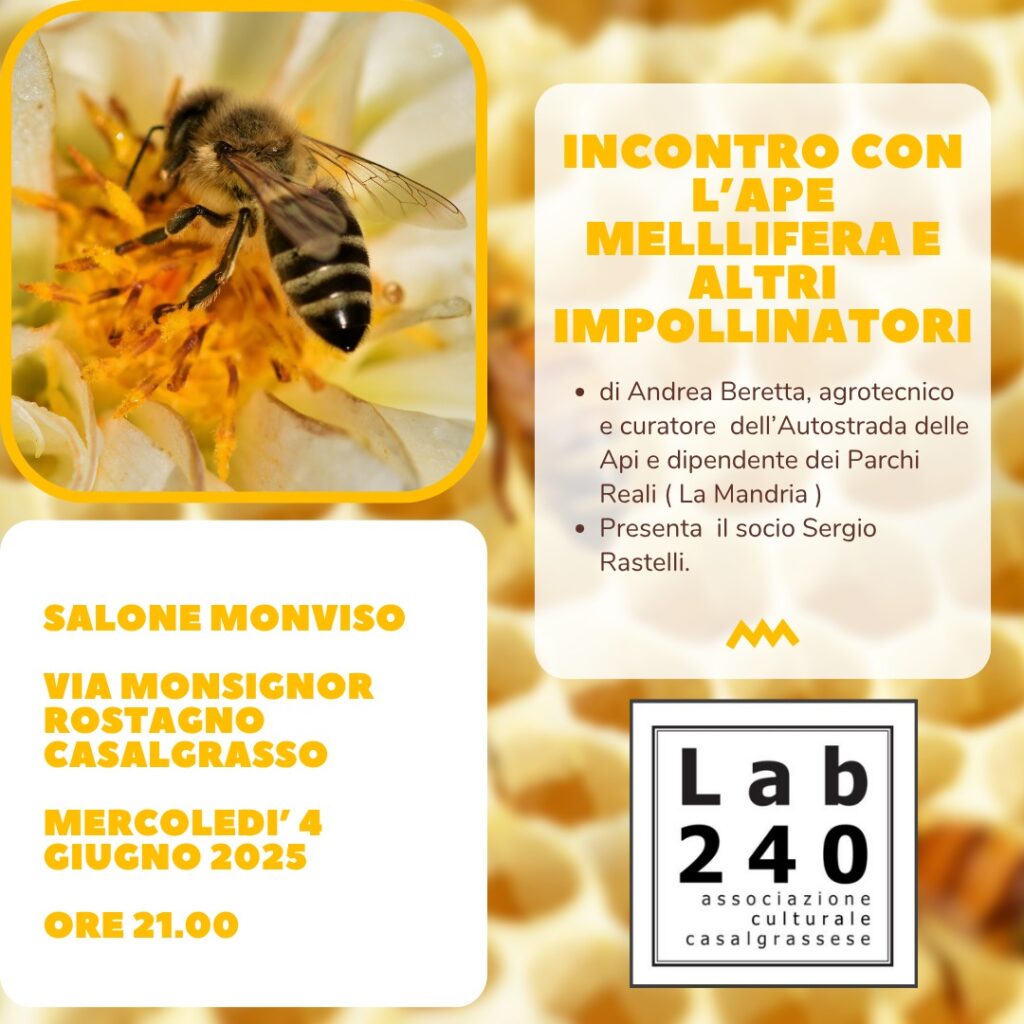 L’ape mellifera: conferenza al Salone Monviso di Casalgrasso