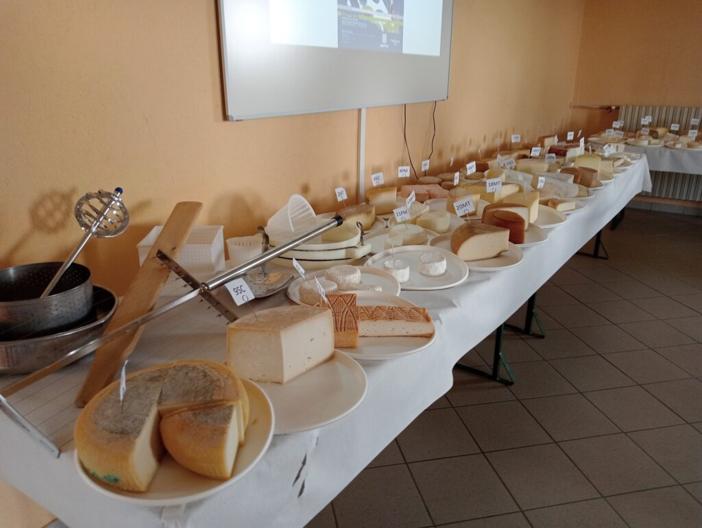 85 formaggi da 8 regioni ricordando Gabriele Cappa
