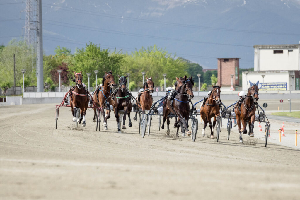 gran premio ippodromo