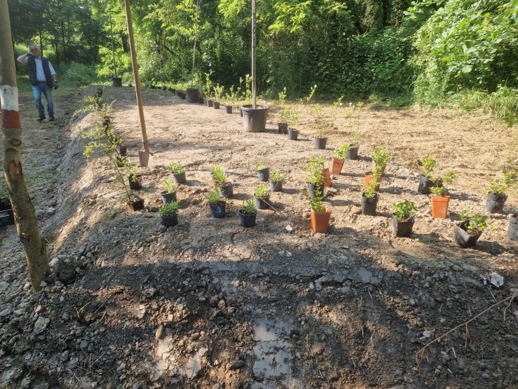 Racconigi inaugura un’oasi perenne per api e insetti