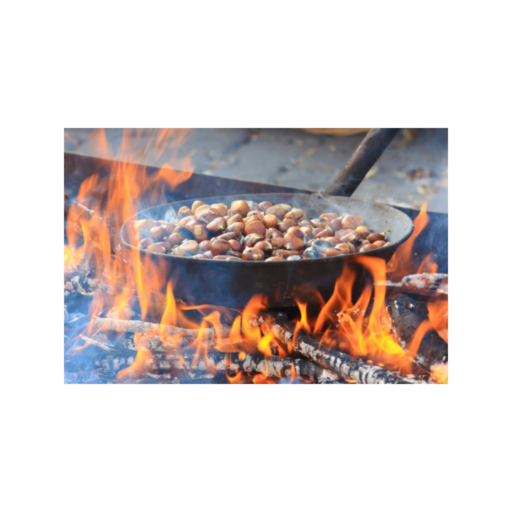 Gran Castagnata con gli Amici del Po di Villafranca  Piemonte